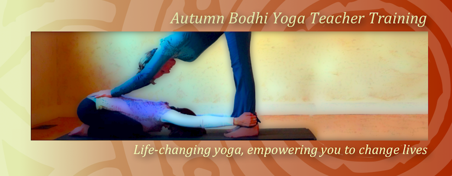 Utah Yoga Teacher Training Save